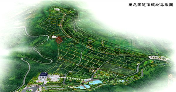 1-22020Q12122N1 首页 - PG电子官方网站