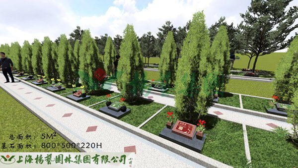1-22020Q34102648 首页 - PG电子官方网站