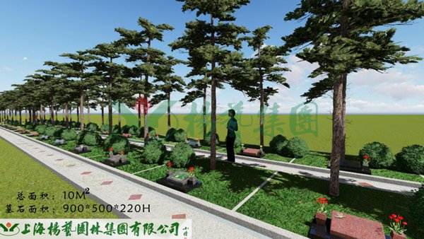 1-22020Z95S0259 首页 - PG电子官方网站
