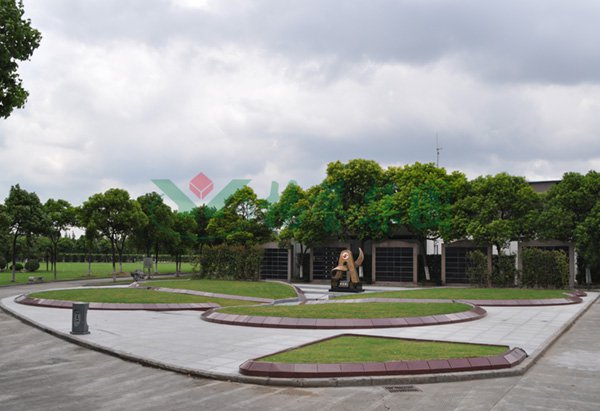 首页 - PG电子官方网站
