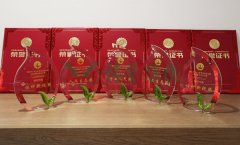 “PG电子杯”浙江省节地生态安葬设计作品奖