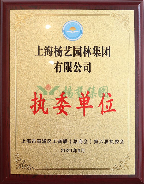 首页 - PG电子官方网站