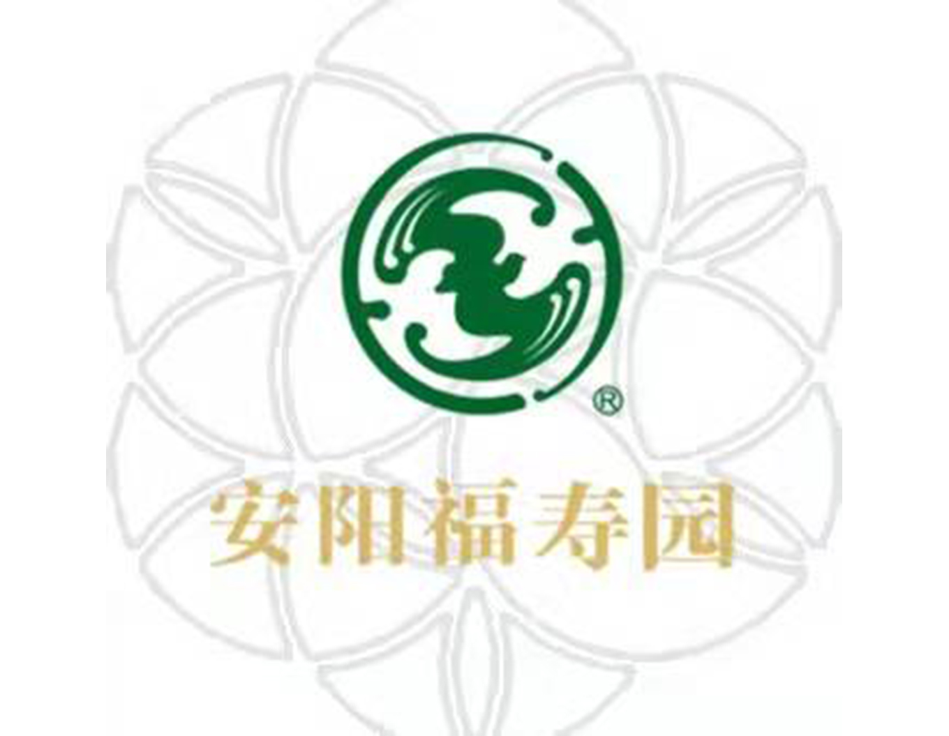 1-21121Q31556102 首页 - PG电子官方网站