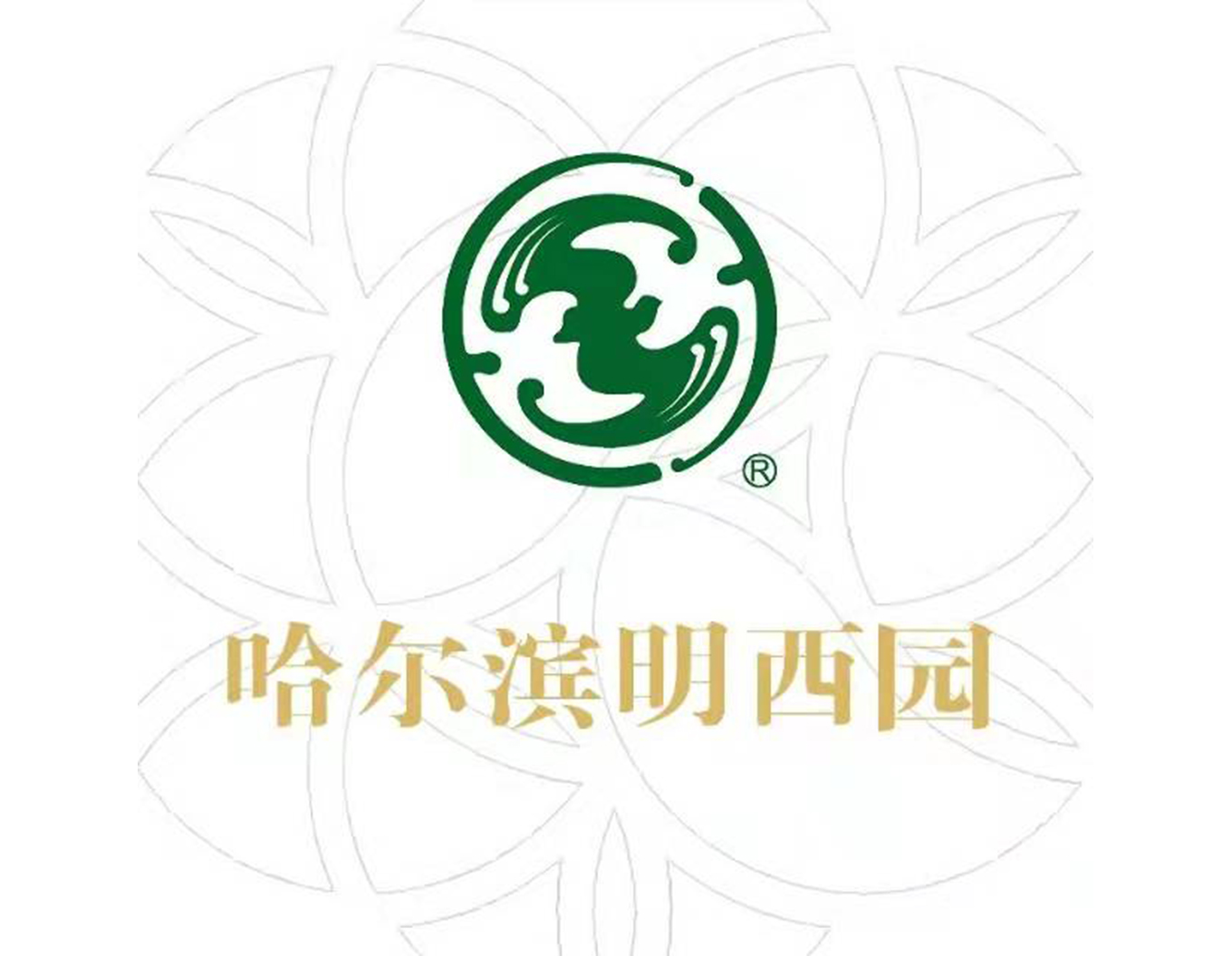 1-21121Q31ST95 首页 - PG电子官方网站