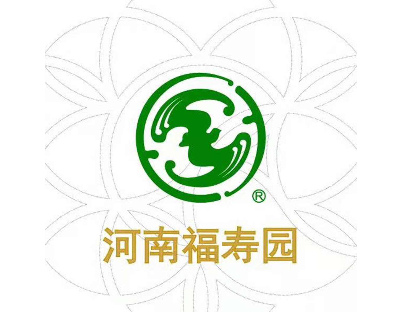 1-21121Q3201S30 首页 - PG电子官方网站