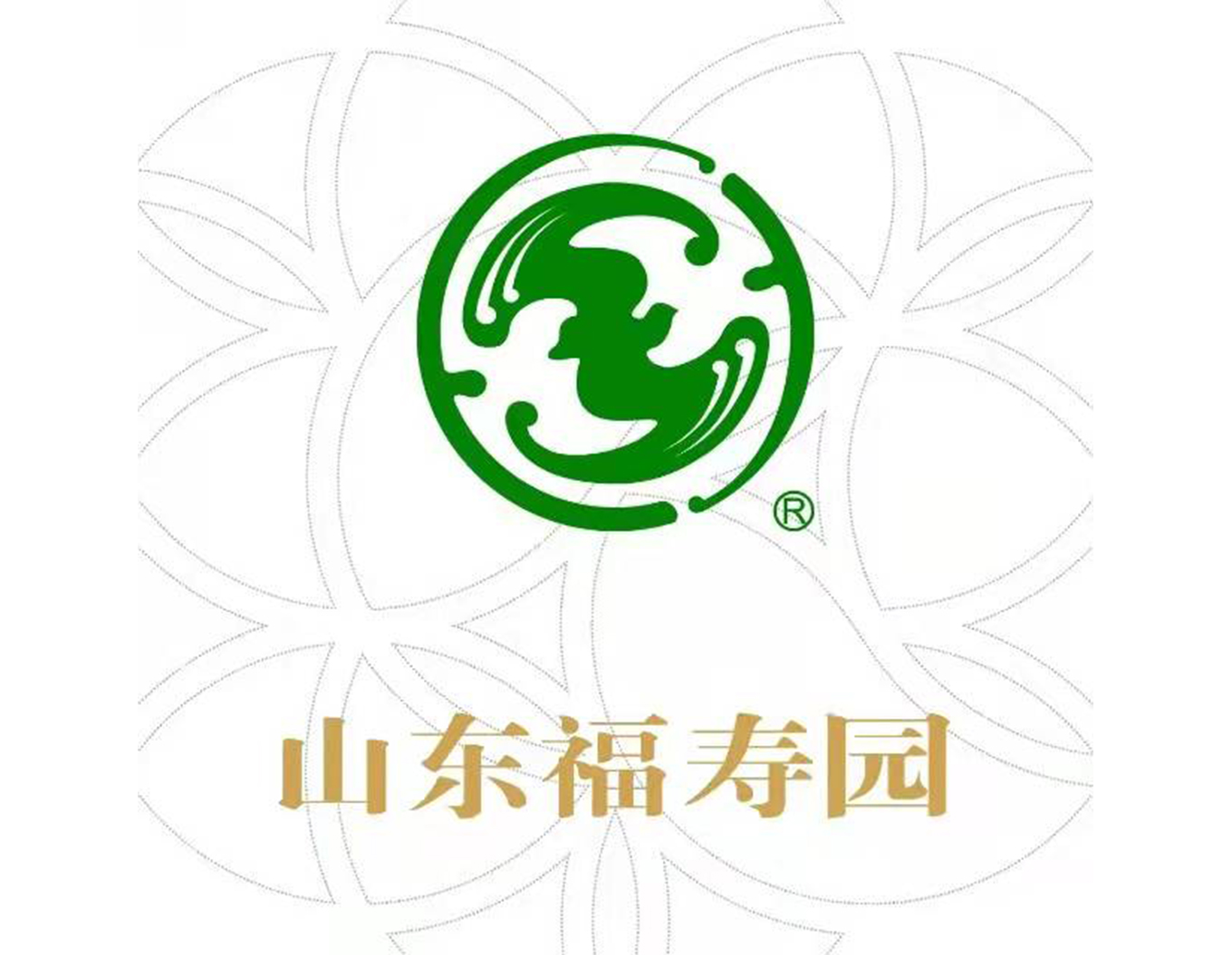 1-21121Q3231E50 首页 - PG电子官方网站
