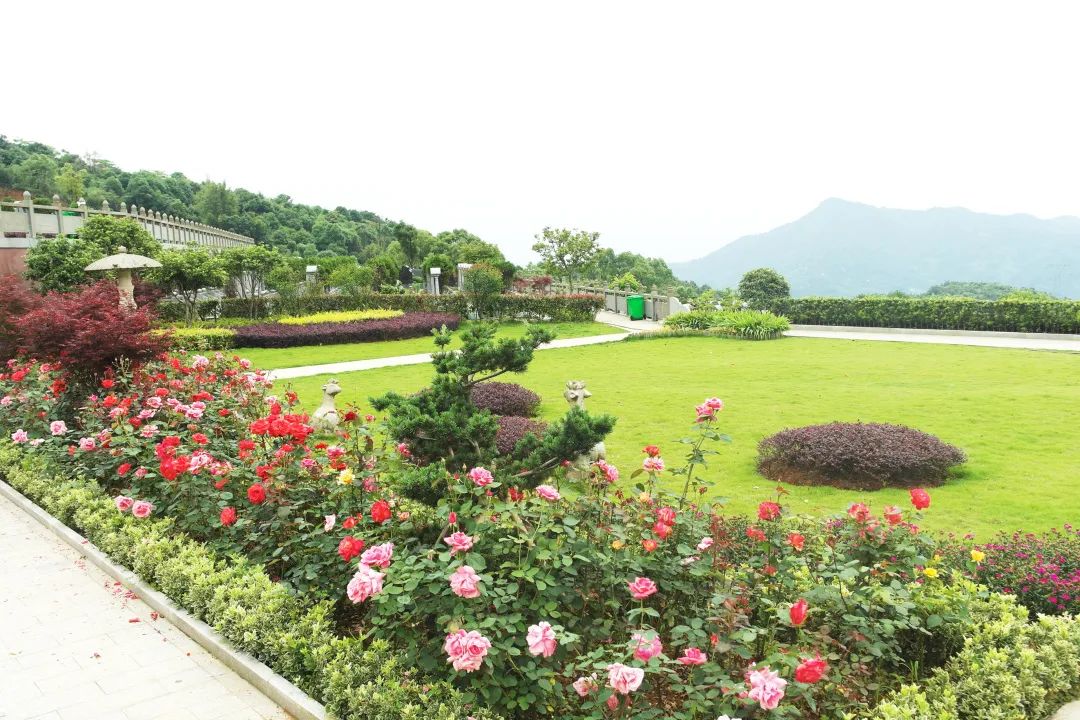 1-220P30T643521 首页 - PG电子官方网站