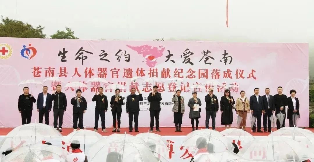 首页 - PG电子官方网站