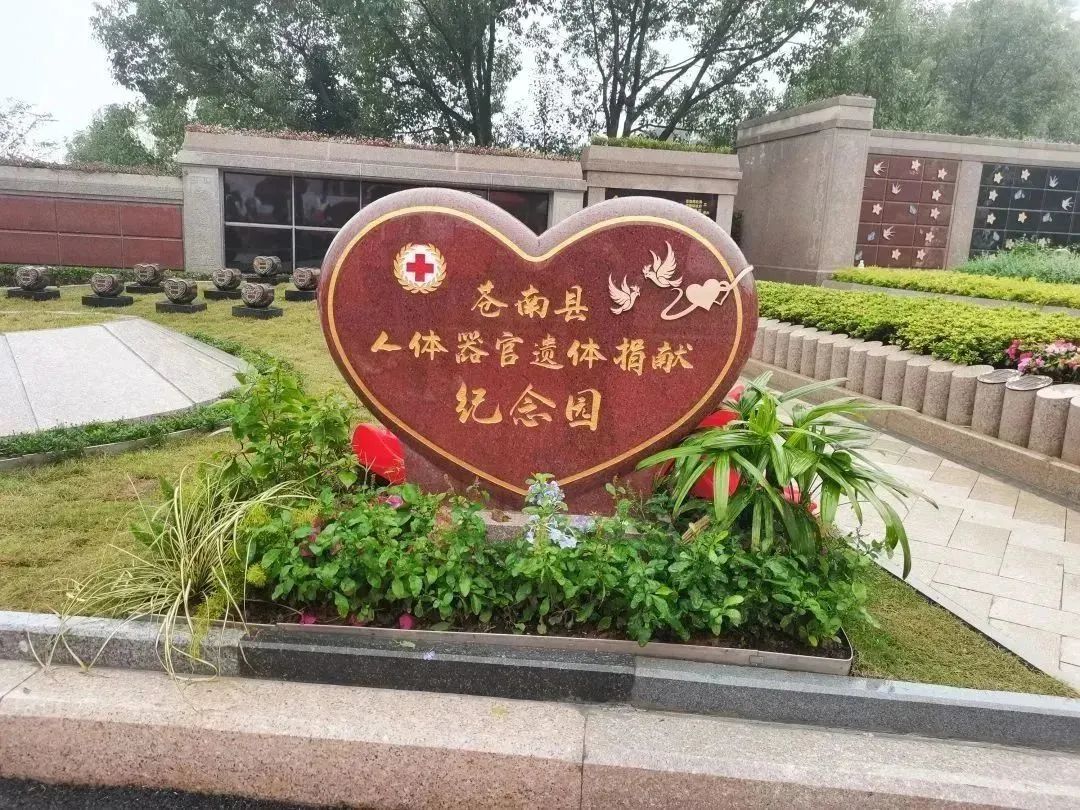 首页 - PG电子官方网站