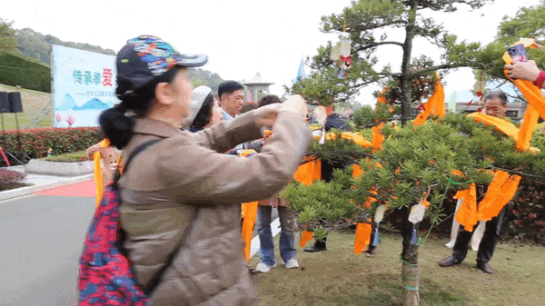 首页 - PG电子官方网站