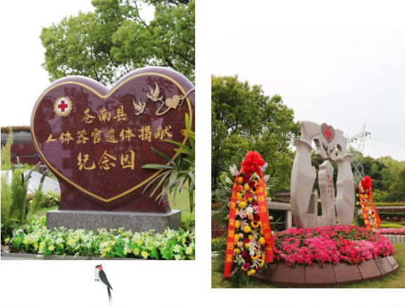 1-2404060951244F 首页 - PG电子官方网站