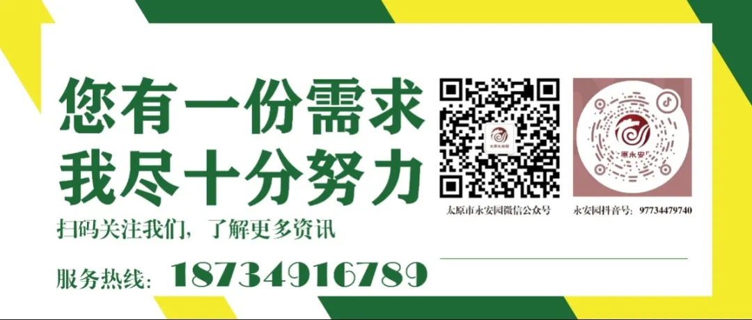 1-240615105130424 首页 - PG电子官方网站