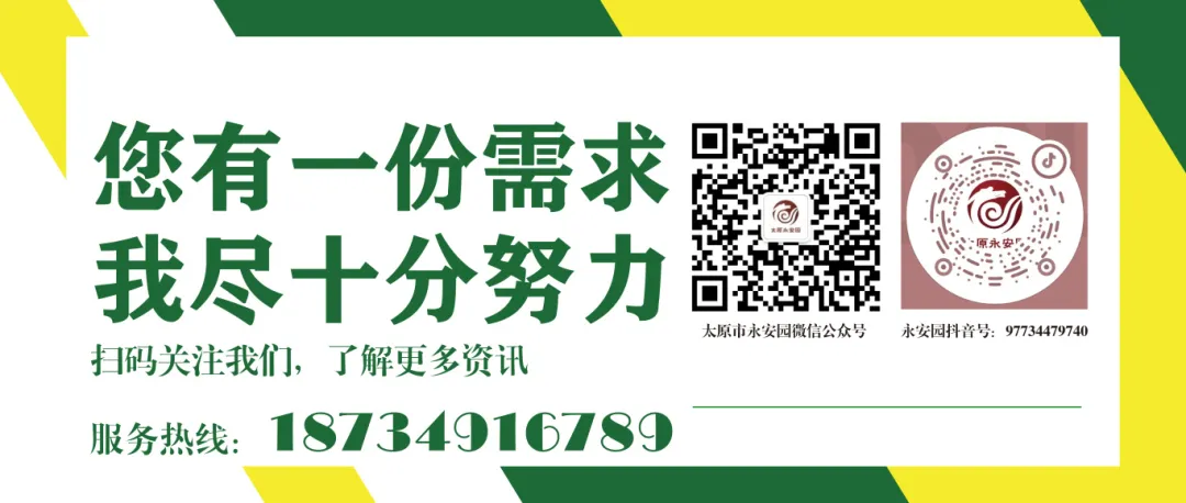 1-24062210001Dc 首页 - PG电子官方网站