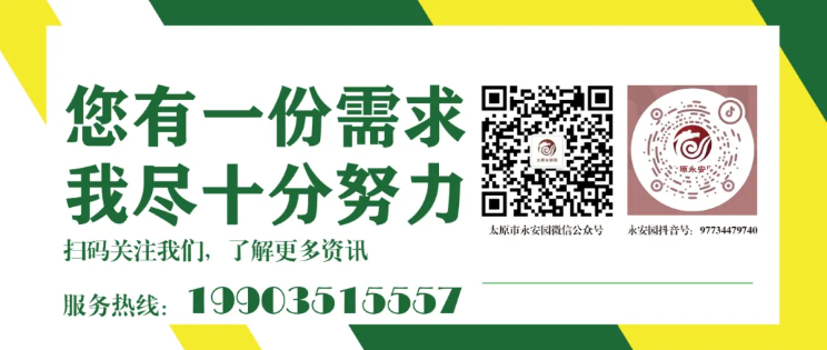 1-2409120ZI9327 首页 - PG电子官方网站