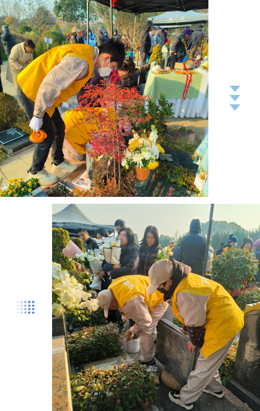 首页 - PG电子官方网站