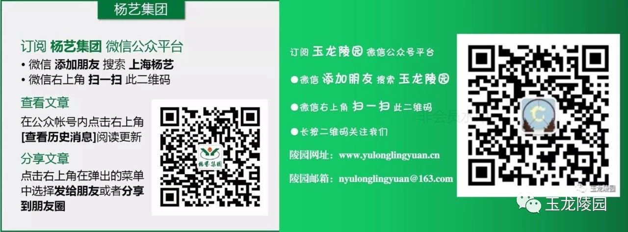 首页 - PG电子官方网站