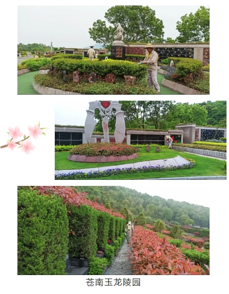 首页 - PG电子官方网站