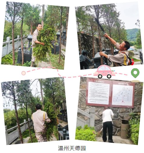 首页 - PG电子官方网站
