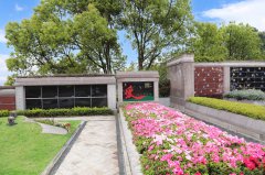 归于自然，泽被后世：解读现代生态葬及其创新趋势