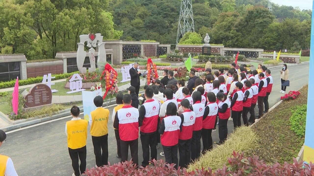 1-25102913543S31 首页 - PG电子官方网站