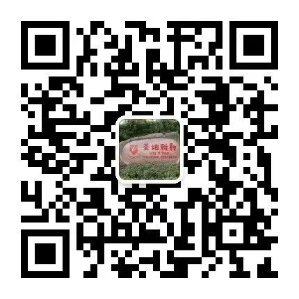 1-2510300R05G38 首页 - PG电子官方网站