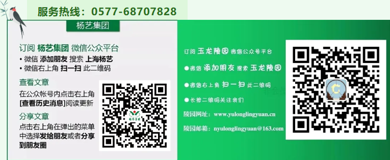 1-260403102PRZ 首页 - PG电子官方网站