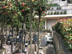 微改造，大情怀——老墓园规划设计的温度与智慧