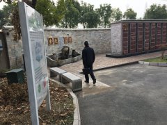 以心为笔，绘就可落地的生命花园